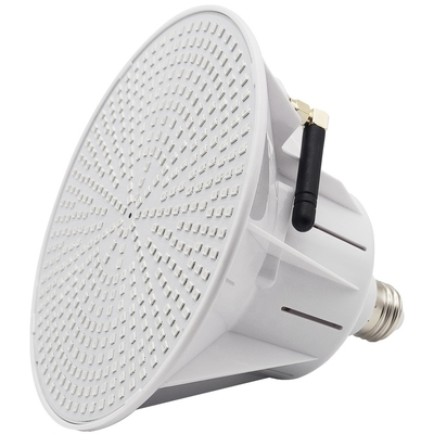 주문 AC / DC 12V/24V IP68은 기업 연합 조명을 이끌었습니다 online manufacture